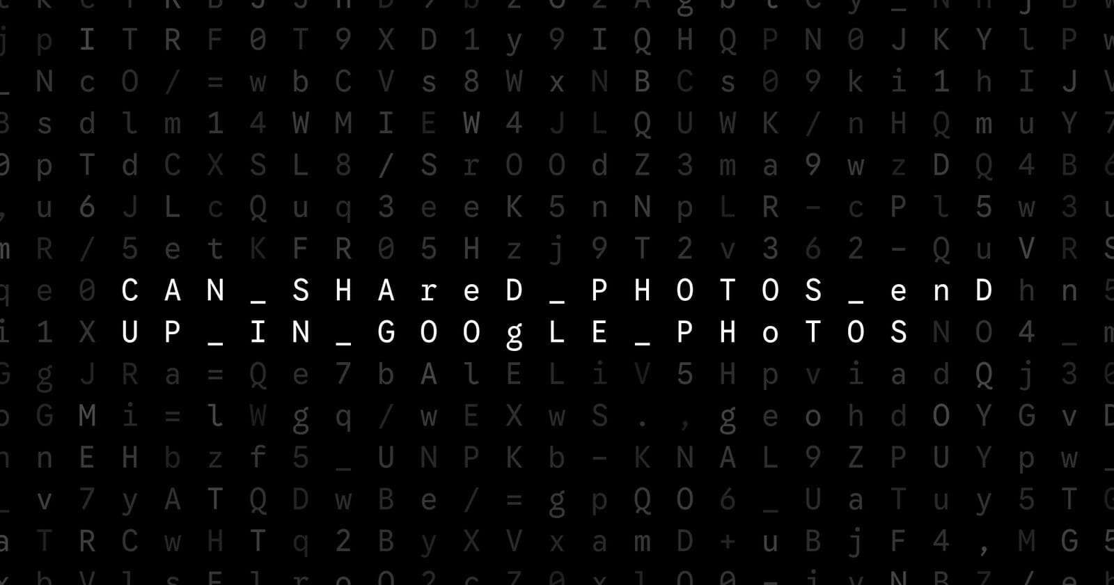 Oblivio editorial code matrix cover for Can Shared Photos End Up in Google Photos?