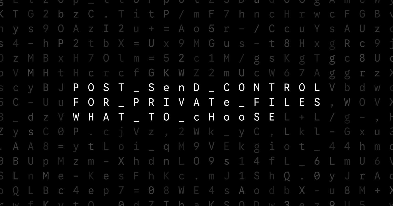 Oblivio editorial code matrix cover for Post-Send Control for Private Files: What to Choose