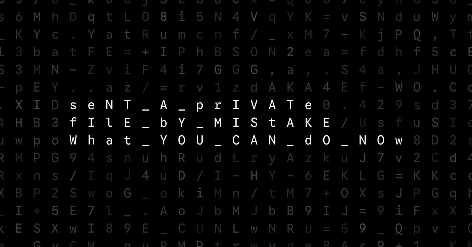 Oblivio editorial code matrix cover for Sent a Private File by Mistake? What You Can Do Now