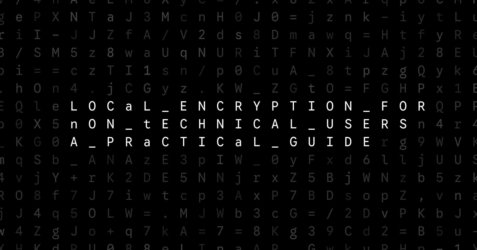 Oblivio editorial code matrix cover for Local Encryption for Non-Technical Users: A Practical Guide