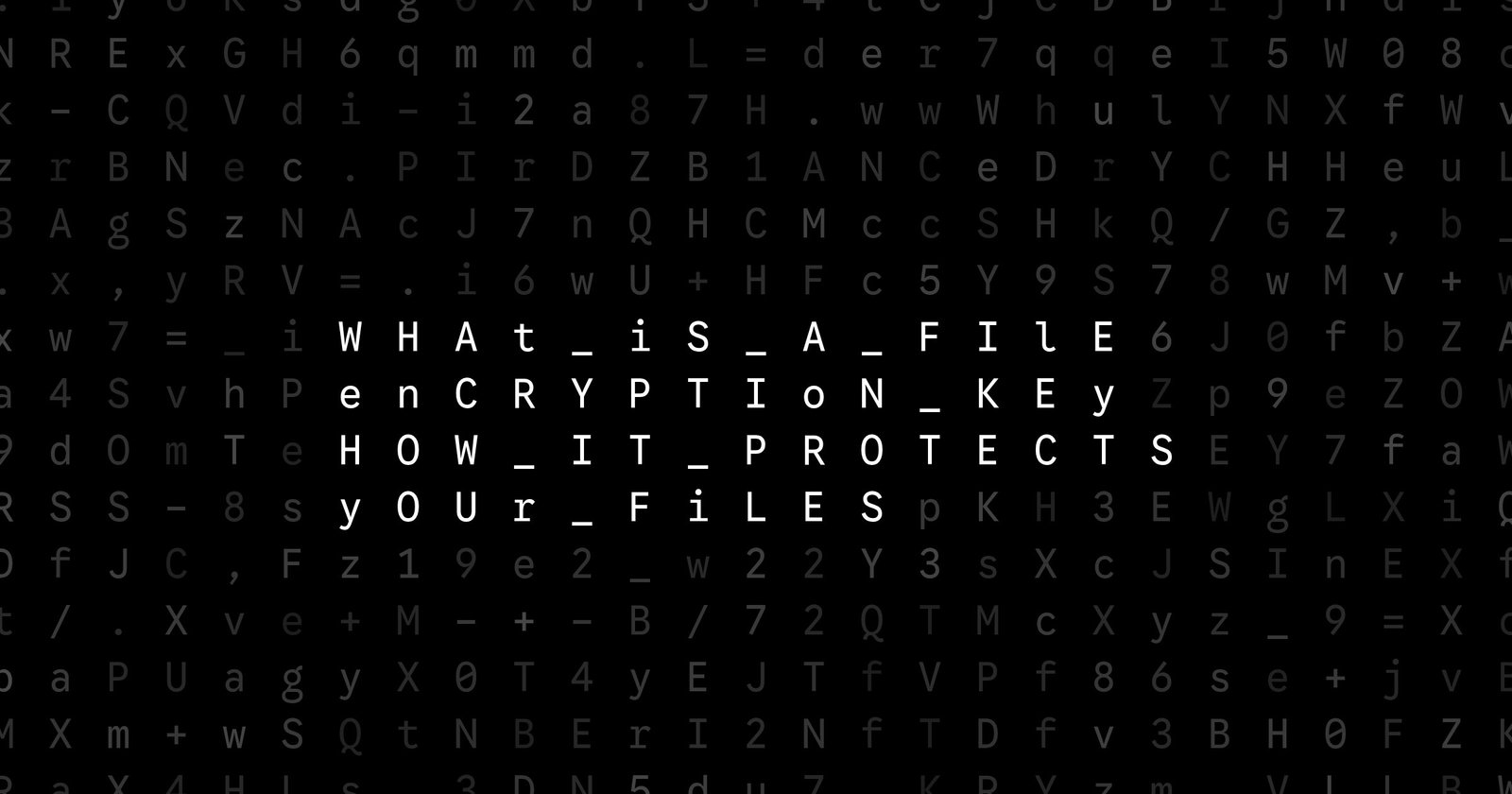 Oblivio editorial code matrix cover for What Is a File Encryption Key? How It Protects Your Files